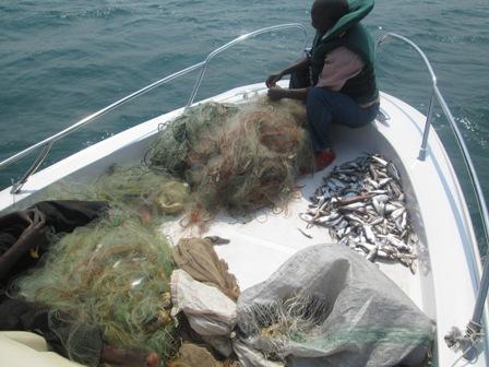 organisation d'une patrouille de surveillance