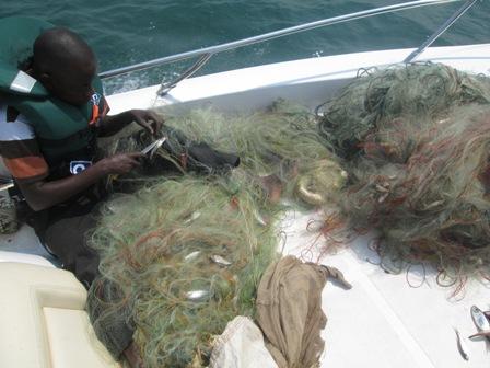 transport du lac vers le littoral des filets saisis au cours d'une patrouille de surveillance