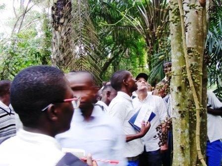 Présentation des éléments de la bodiversité de l'Arboretum de Bujumbura