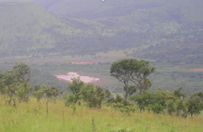 Végétation du Parc National de la Ruvubu