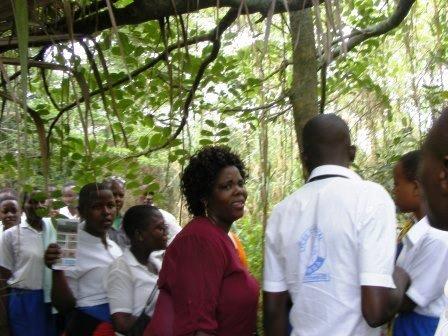 Présentation des éléments de la bodiversité de l'Arboretum de Bujumbura