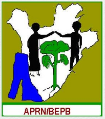 Logo APRN/BEPB