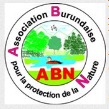 Logo de ABN