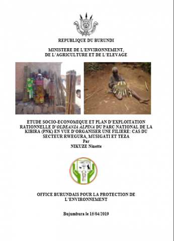 Plan d'exploitation du bambou