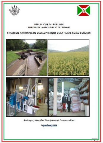 Stratégie Nationale de Développement de la filière riz au Burundi (SNDRB)