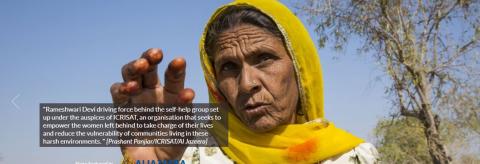 International Crops Research Institute for the Semi-Arid Tropics (ICRISAT)