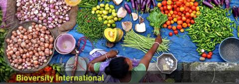 Biodiversity International