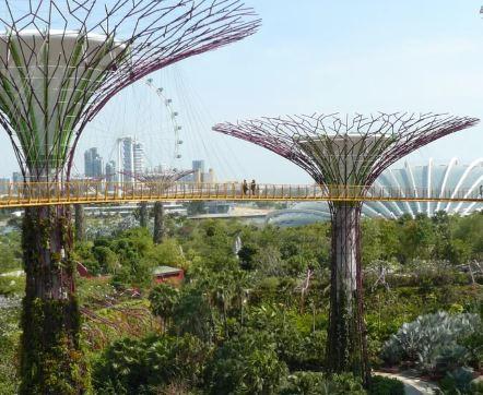 Botanic Gardens Conservations International (BGCI)