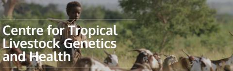 Centre for Tropical Livestock Genetics and Health