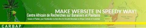 Centre Africain de Recherches sur Bananiers et Plantains (CARBAP)