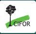 Center for International Forestry Research (CIFOR)