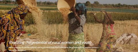 International Center for Agricultural Research in the Dry Areas (ICARDA)