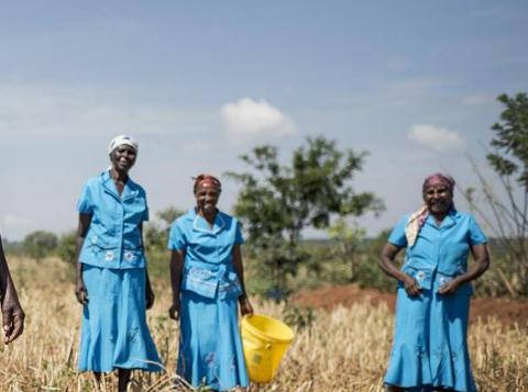 Centre de recherches pour le développement international (CRDI)