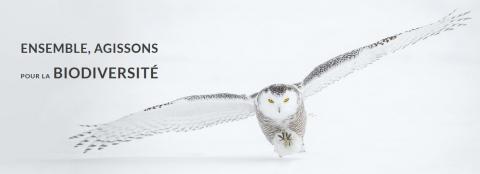 Fondation Nature et Découvertes