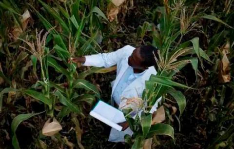 Global Forum on Agricultural Research and Innovation (GFAR)