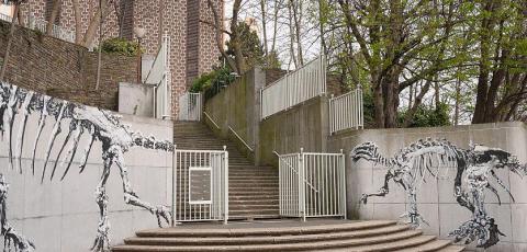Institut royal des Sciences naturelles de Belgique (IRSNB)