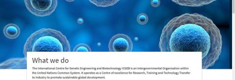 International Centre for Genetic Engineering and Biotechnology (ICGEB)