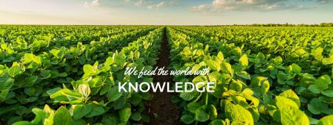 International Service for the Acquisition of Agri-biotech Applications (ISAAA)