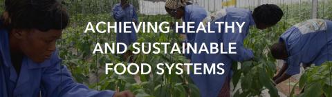 The London Center for Integrative Research on Agriculture and Health (LCIRAH)