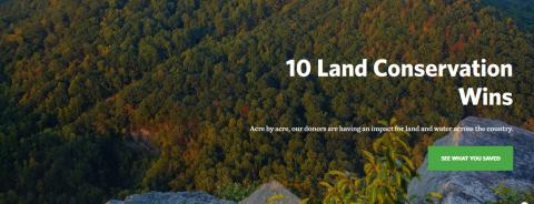 The Nature Conservancy