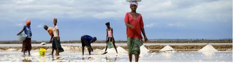 Nutrition Interntional