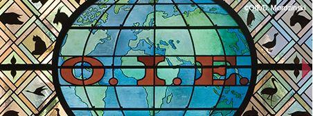 Organisation mondiale de la santé animale (OIE)