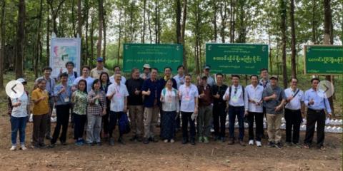 Organisation internationale des bois tropicaux (OIBT)