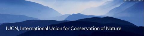 International Union for Conservation of Nature (IUCN)
