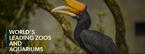 World Association of Zoos and Aquariums (WAZA)