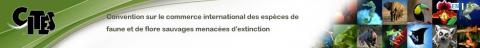 Convention sur le commerce international des espèces de faune et de flore sauvages menacées d'extinction (CITES)