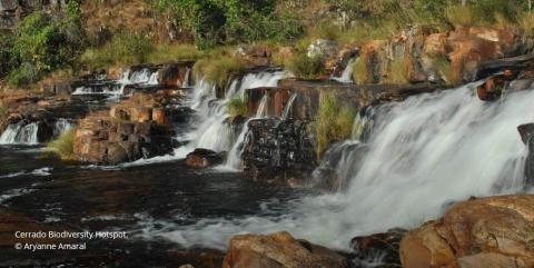 Critical Ecosystem Partnership Fund (CEPF)