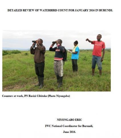 Revue détaillée des comptages des oiseaux d’eau de Janvier 2016 au Burundi