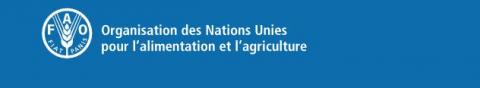 Organisation des Nations Unies pour l'alimentation et l'agriculture (FAO)