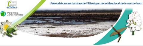 Pôle-relais zones humides