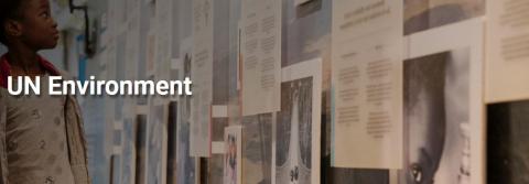 United Nations Environment Programme (UNEP)