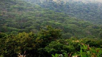 Paysage Protégé de Gisagara