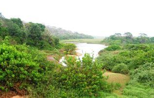 Ecosystèmes aquatiques du Burundi: Cours d'eau