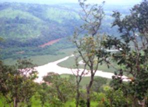 Galeries forestières