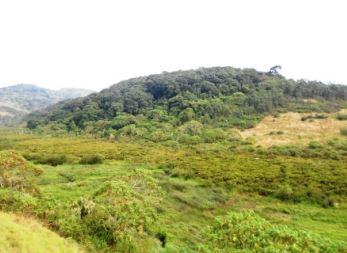 Marais de haute altitude du Burundi