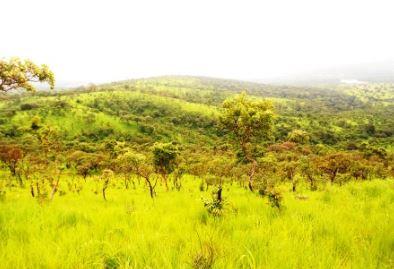 Savanes de l'Est du Burundi