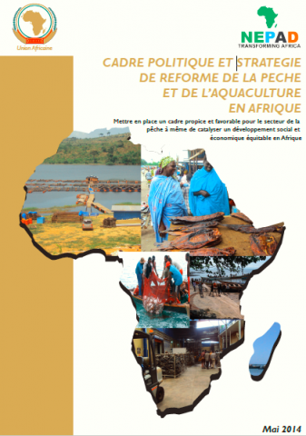 Photo de garde du document Cadre politique et stratégie de reforme de la pêche et de l’aquaculture en Afrique