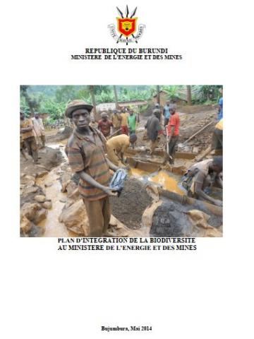 Plan d’intégration de la biodiversité au Ministère de l’énergie et des mines