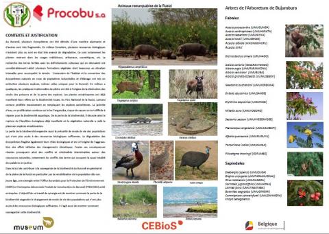 Outil de sensibilisation