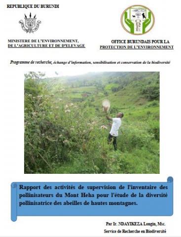 Rapport des activités de supervision de l'inventaire des pollinisateurs du Mont Heha pour l'étude de la diversité pollinisatrice des abeilles de hautes montagnes