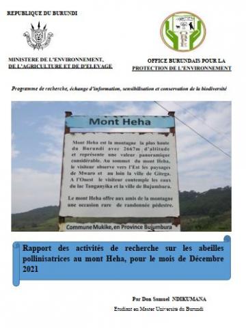 Rapport des activités de recherche sur les abeilles pollinisatrices au mont Heha, pour le mois de Mars 2021