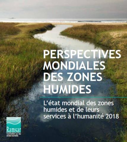Perspectives mondiales des zones humides : L’état mondial des zones humides et de leurs services à l’humanité 2018