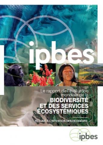 Le rapport de l’évaluation mondiale 2019 de l’IPBES de la biodiversité et les services écosystémiques : 2019
