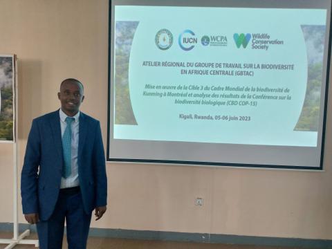 La Photo a été prise lors de l'atelier régional du groupe de travail sur la Biodiversité en Afrique Central (GBTAC) dans le cadre de la mise en oeuvre de la cible 3 du Cadre Mondial de la Biodiversité de Kunming Montréal et analyse des résultats de la Conférence sur la Biodiversité(CBD COP15). L'atelier s'est tenu du 05 au 06 juin 2023 a Kigali.  