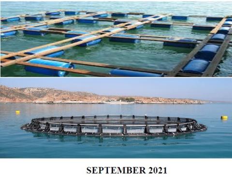 CAGE FISH FARMING POLICY  FOR THE  EAST AFRICAN COMMUNITY