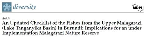 The uM Basin is partially covered by the Malagarazi Nature Reserve (MNR: Burundi), the latter largely corresponding to the Muyovozi Marshland complex of Burundi [3,6] (Figure 1). Furthermore, the middle Malagarazi (mM) Basin corresponds to the central stretch of the Malagarazi Basin, consisting mainly of floodplains, and extends downstream to the last rapid region below the Igamba Falls, i.e., near the village of Kasagwe (Tanzania), being at about 800 m of altitude (Figure 1). The mM Basin is partially cove